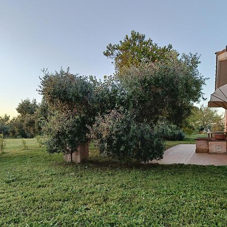 Agriturismo Fontelupo Bracciano  Ngoại thất bức ảnh