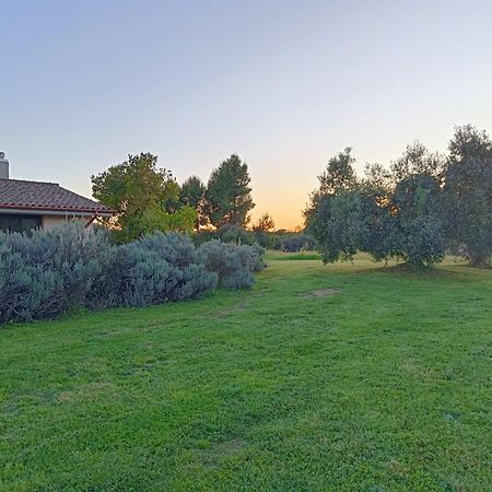 Agriturismo Fontelupo Bracciano  Ngoại thất bức ảnh