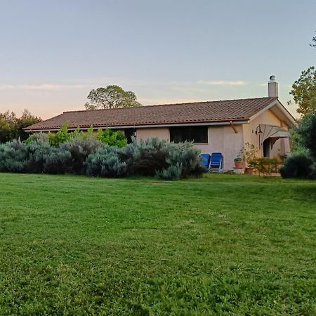 Agriturismo Fontelupo Bracciano  Ngoại thất bức ảnh