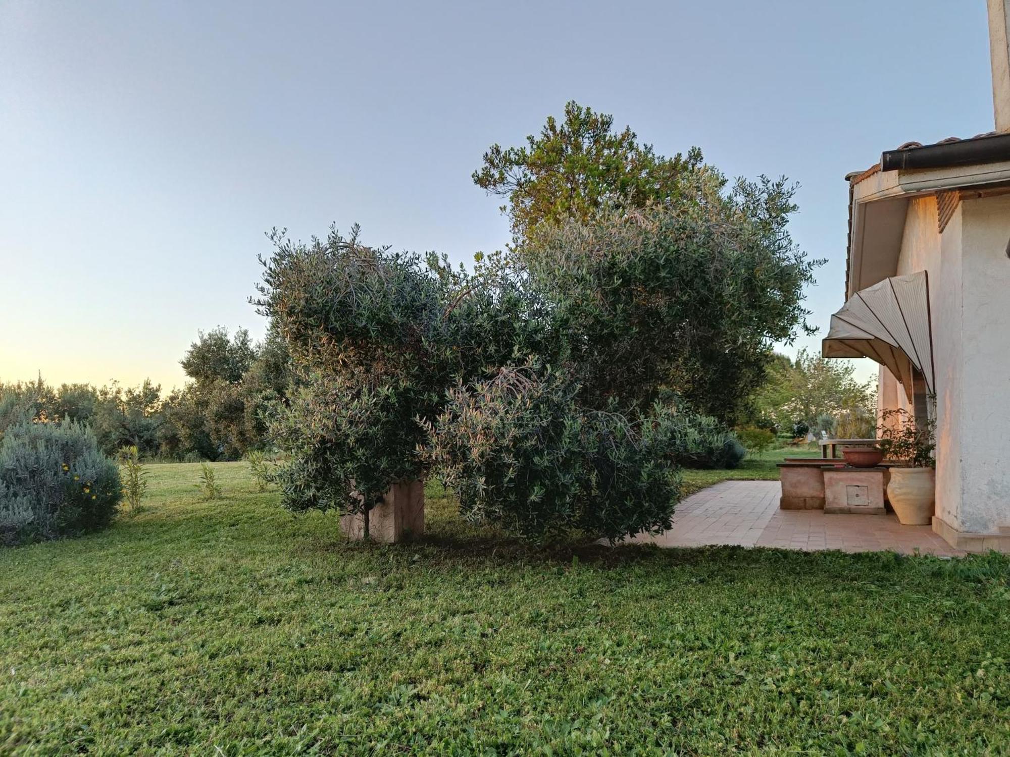Agriturismo Fontelupo Bracciano  Ngoại thất bức ảnh