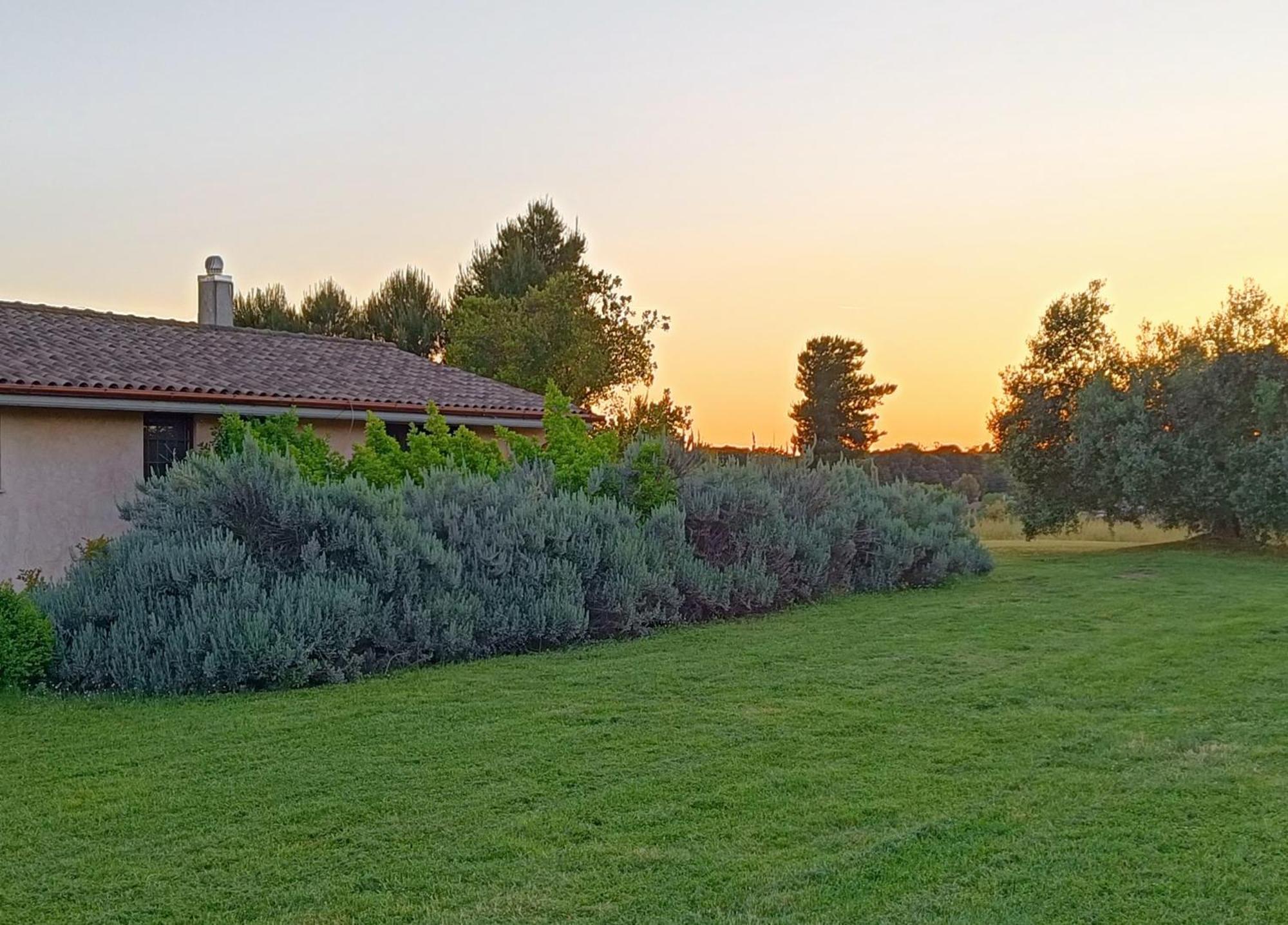 Agriturismo Fontelupo Bracciano  Ngoại thất bức ảnh
