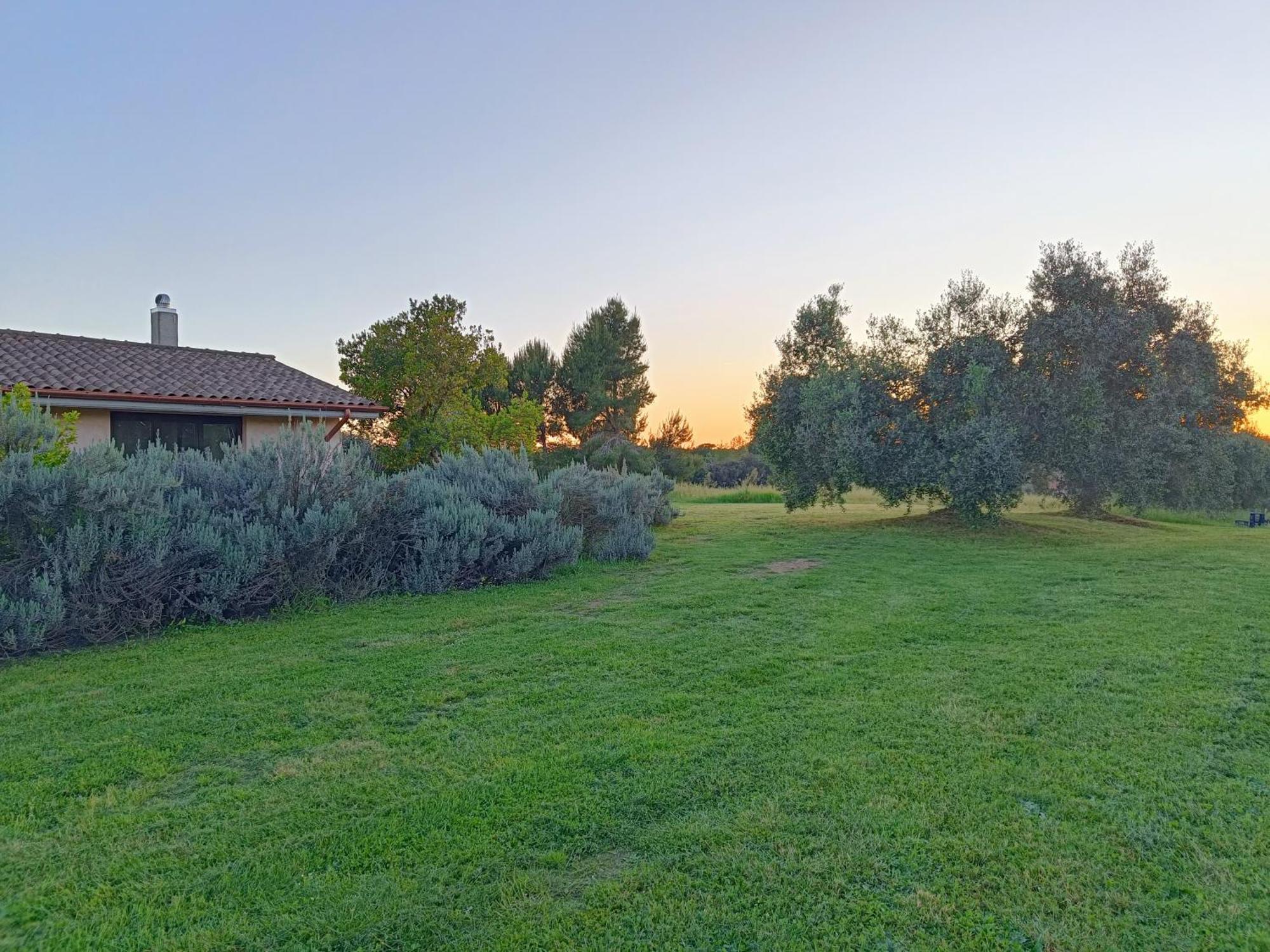Agriturismo Fontelupo Bracciano  Ngoại thất bức ảnh