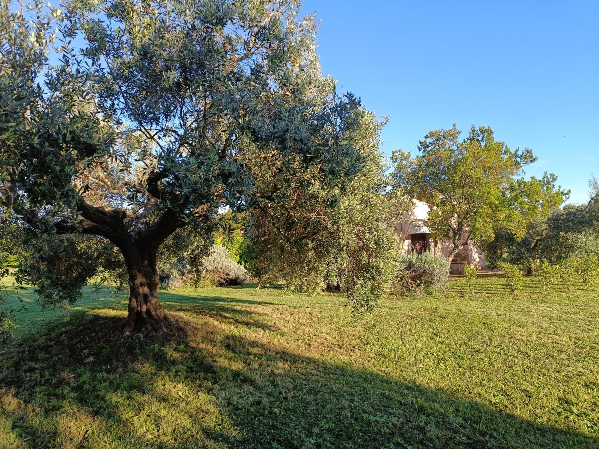 Agriturismo Fontelupo Bracciano  Ngoại thất bức ảnh