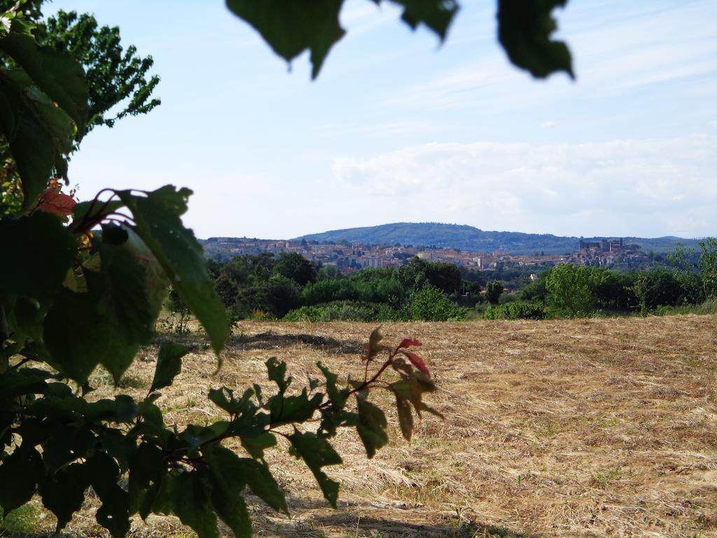 Agriturismo Fontelupo Bracciano  Ngoại thất bức ảnh
